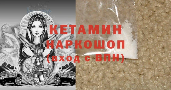 индика Гусев
