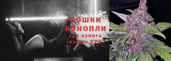 меф Дмитриев