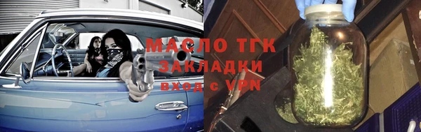 индика Гусев