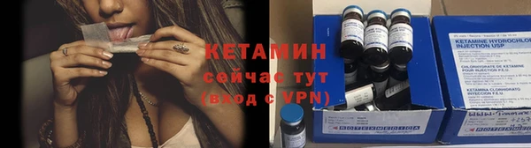 индика Гусев