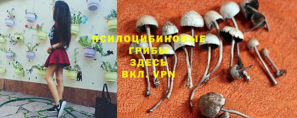 наркотики Гусь-Хрустальный