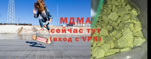 индика Гусев